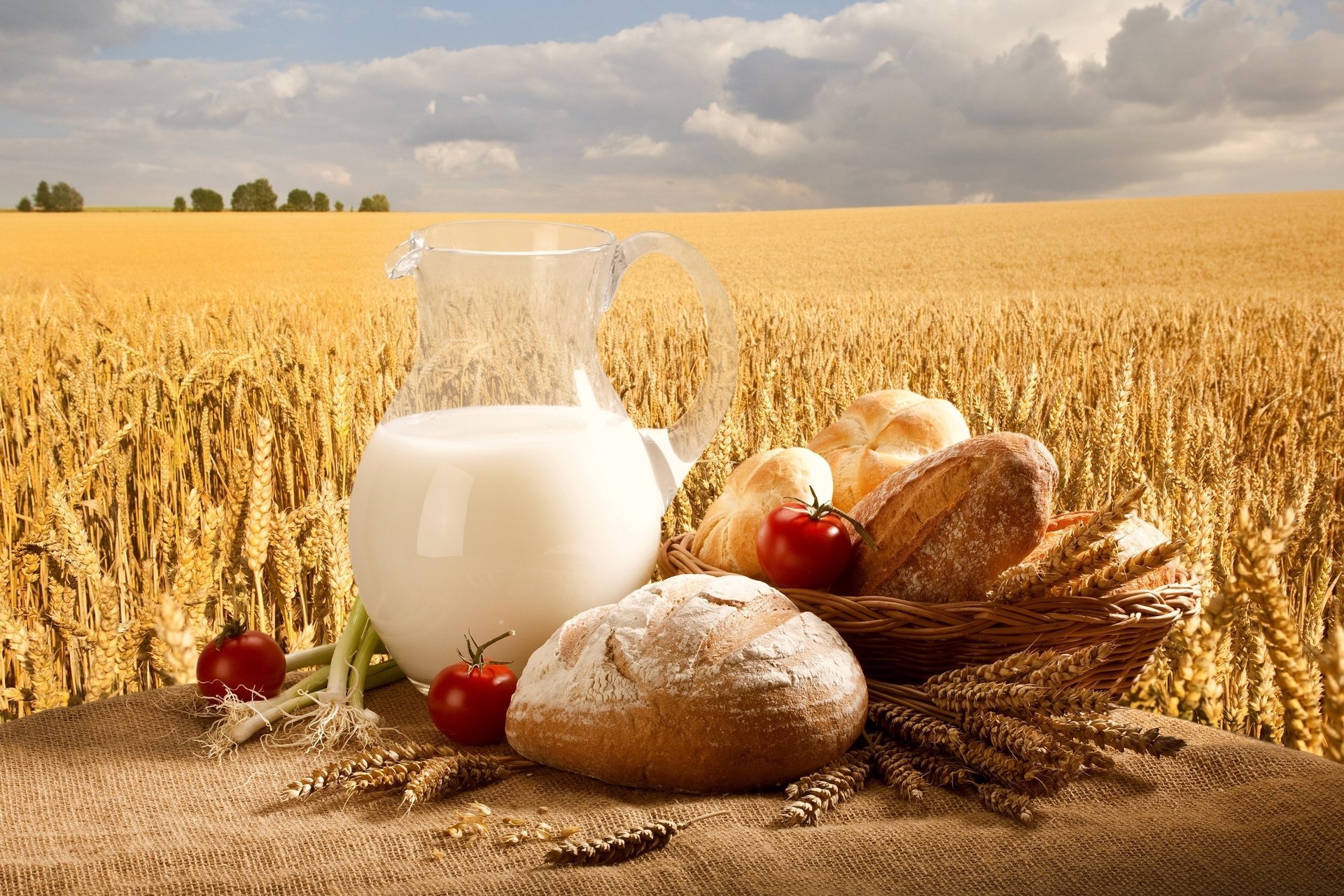 milch krug tomaten brötchen brot zwiebeln korb