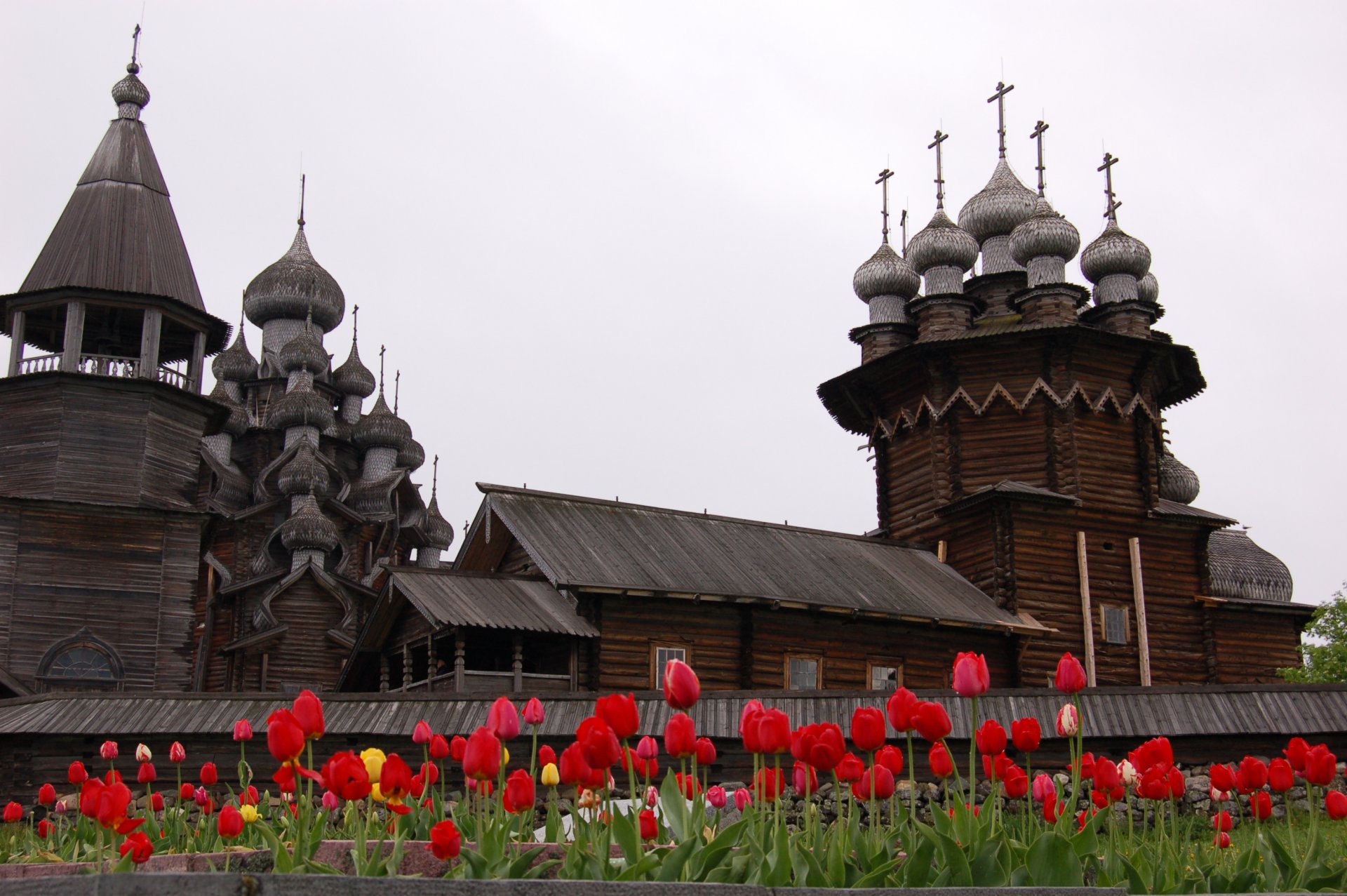 кижи крупный план цветы