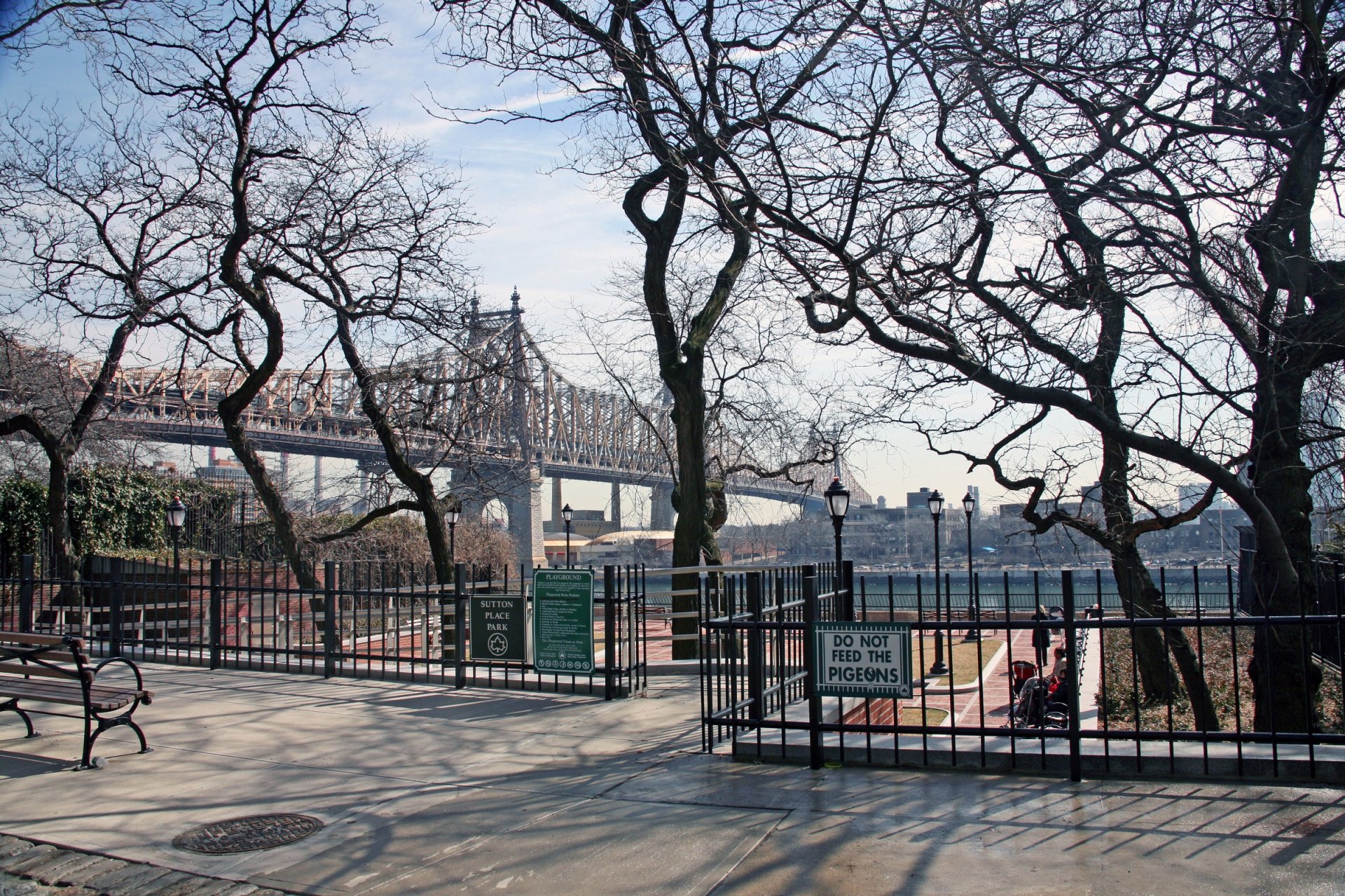 new york alberi parco ponte fiume