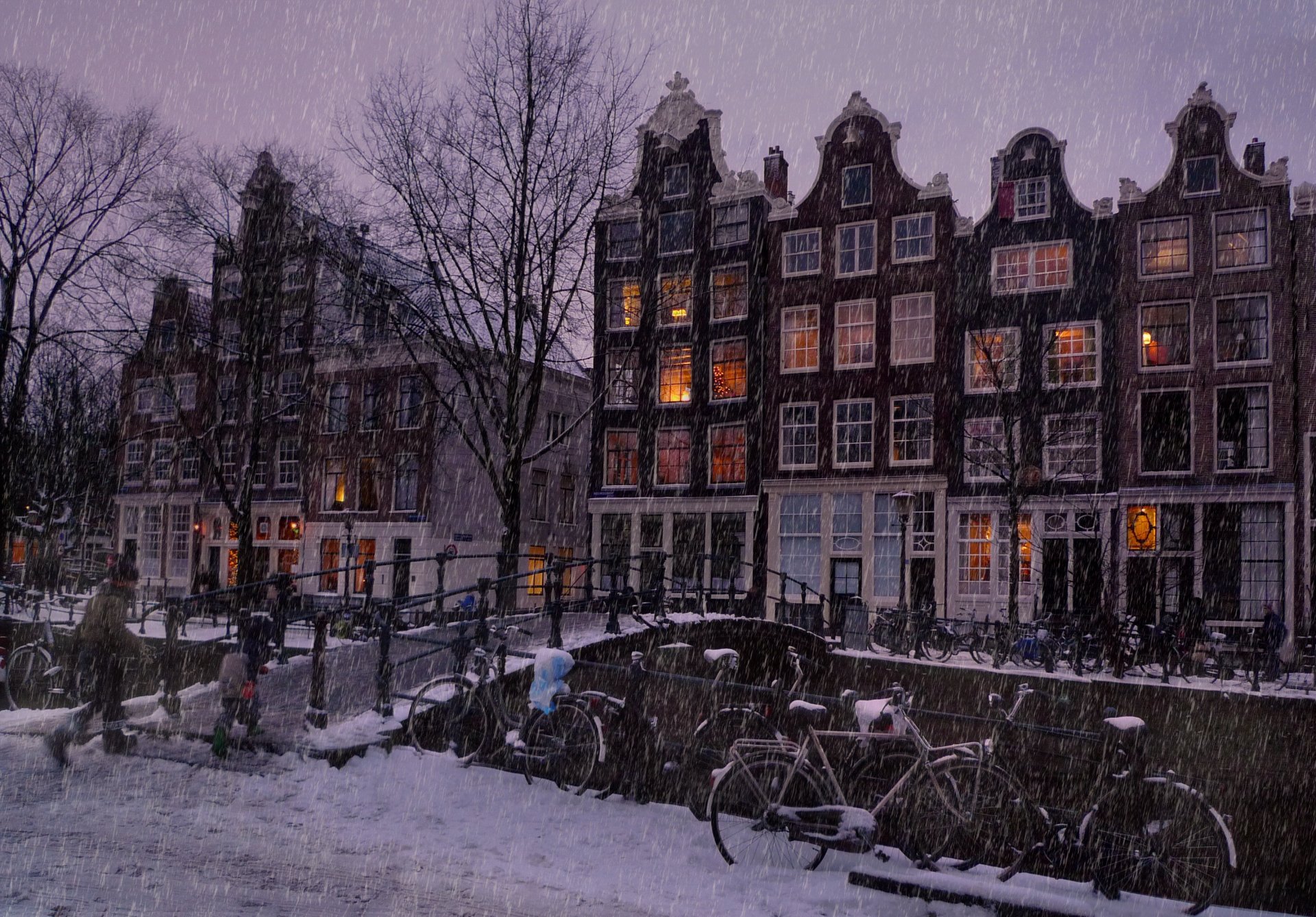 let it snow in the amsterdam snow amsterdam