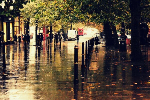 Vista nebbiosa piovosa autunnale della strada