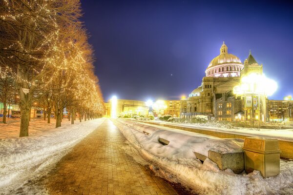 Boston at night: snow, trees and lights