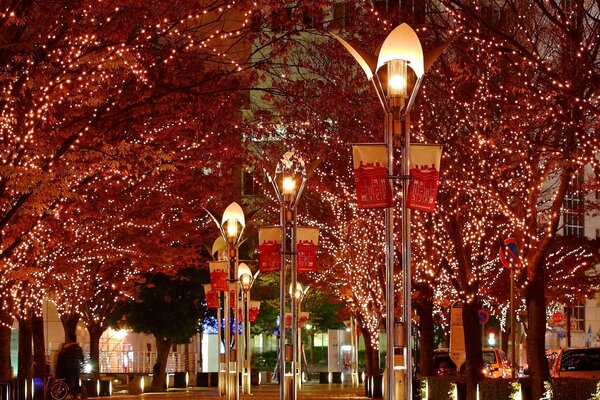 Evening lights of the festive city