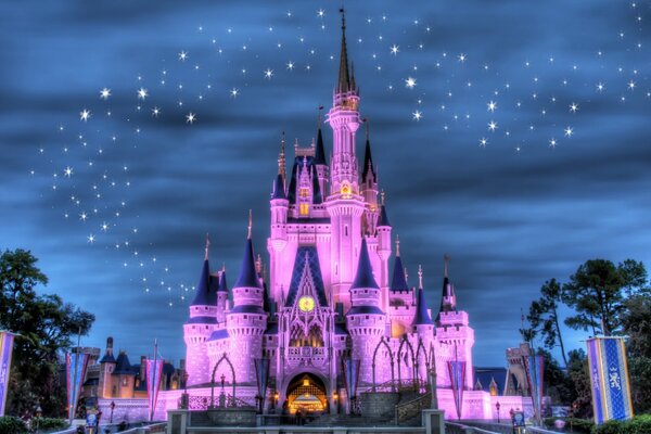 Disney Land Night Castle