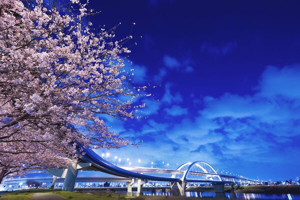 Puente japonés con linternas sobre el río y un árbol en flor