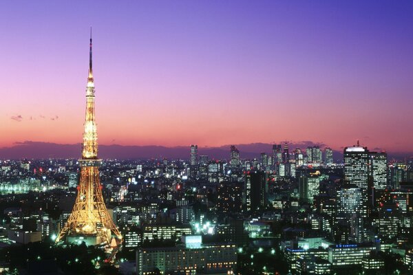 Tokyo schöne Nachtstadt