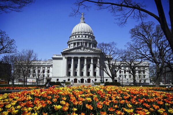 Fiori di Washington Park