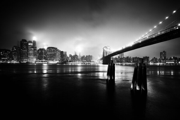 Black and white photo. View of the night metropolis, bridge