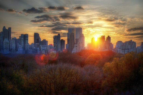 Árboles y edificios de otoño de nueva York durante una puesta de sol nublada