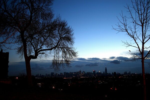 Árboles en el fondo de la ciudad. Cielo crepuscular en las nubes