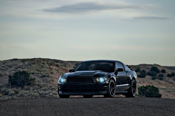 Chernyts ford mustang at dawn