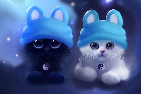 Chatons moelleux dans les chapeaux bleus