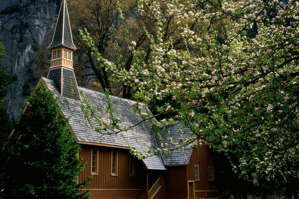 Casa in legno con portico con albero di mele in fiore