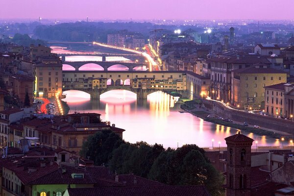 Ponti sullo sfondo di un cielo al tramonto di colore lilla