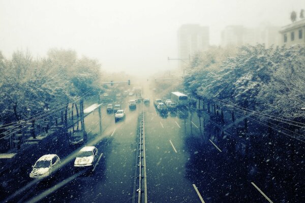 La route de Tokyo par mauvais temps