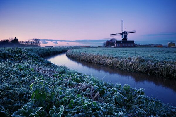 A quiet corner of nature in the Netherlands