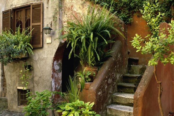 Accogliente vecchia strada italiana a fiori