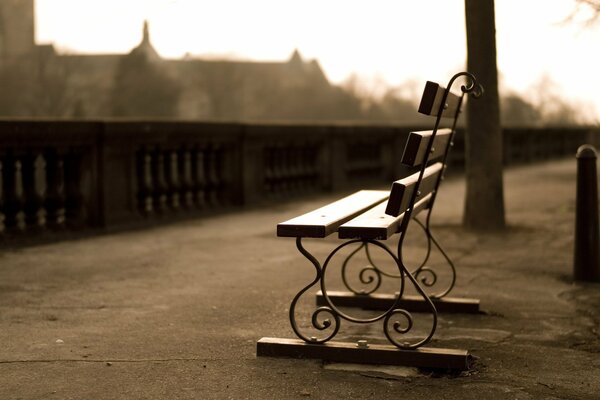 A bench on the embankment in the gray city