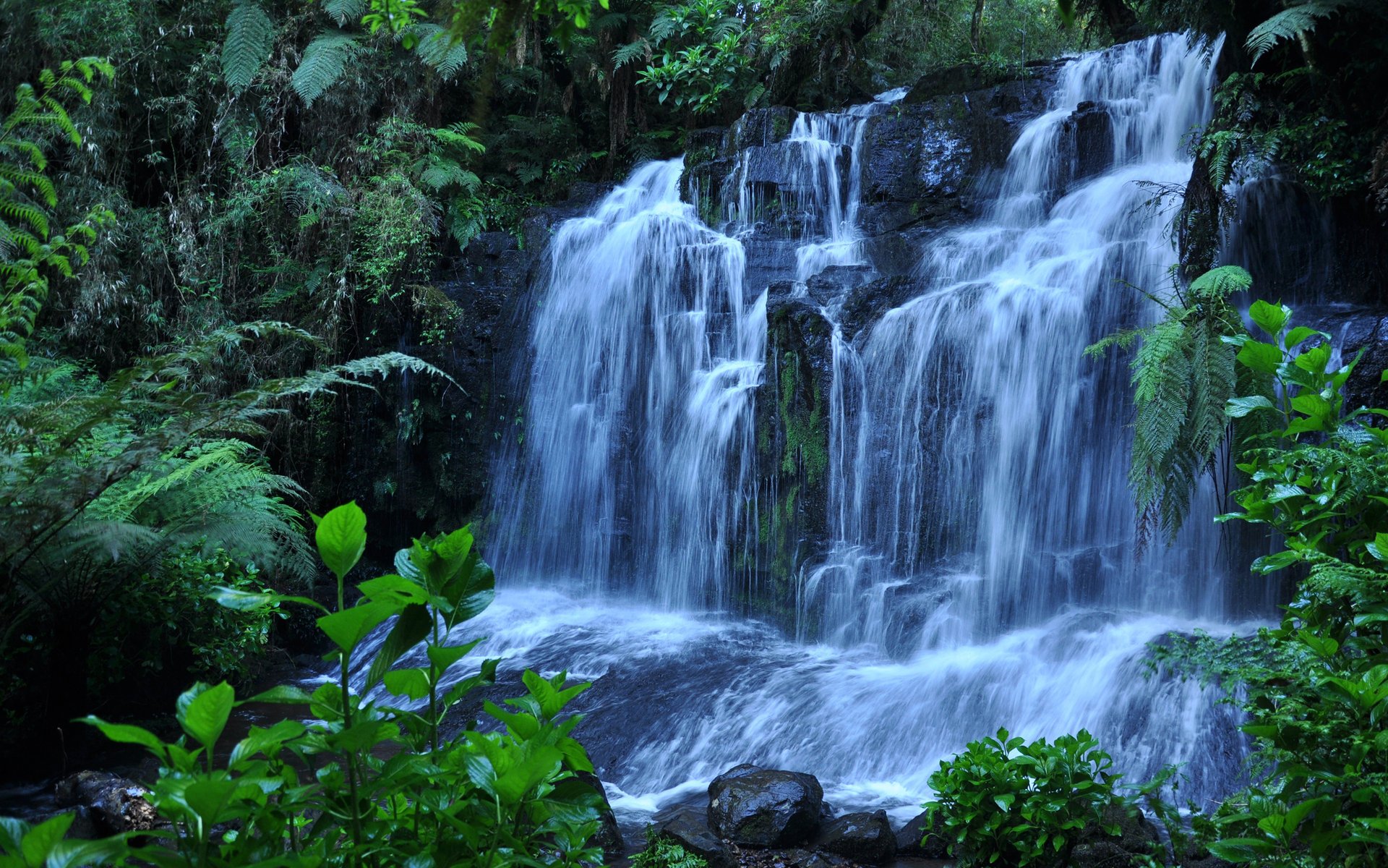 cascada piedras plantas agua