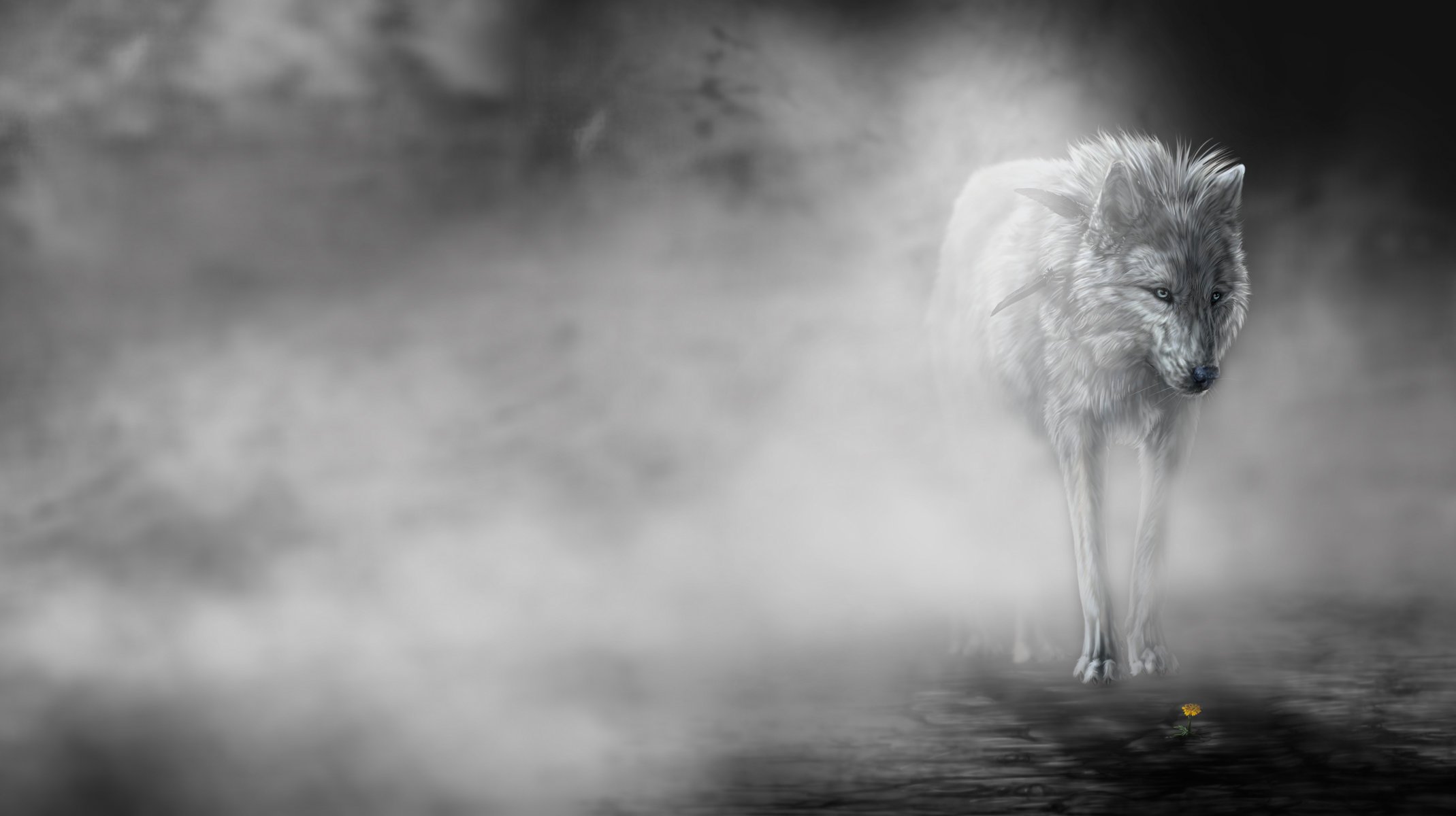 le brouillard art loup wolfroad fleur brouillard