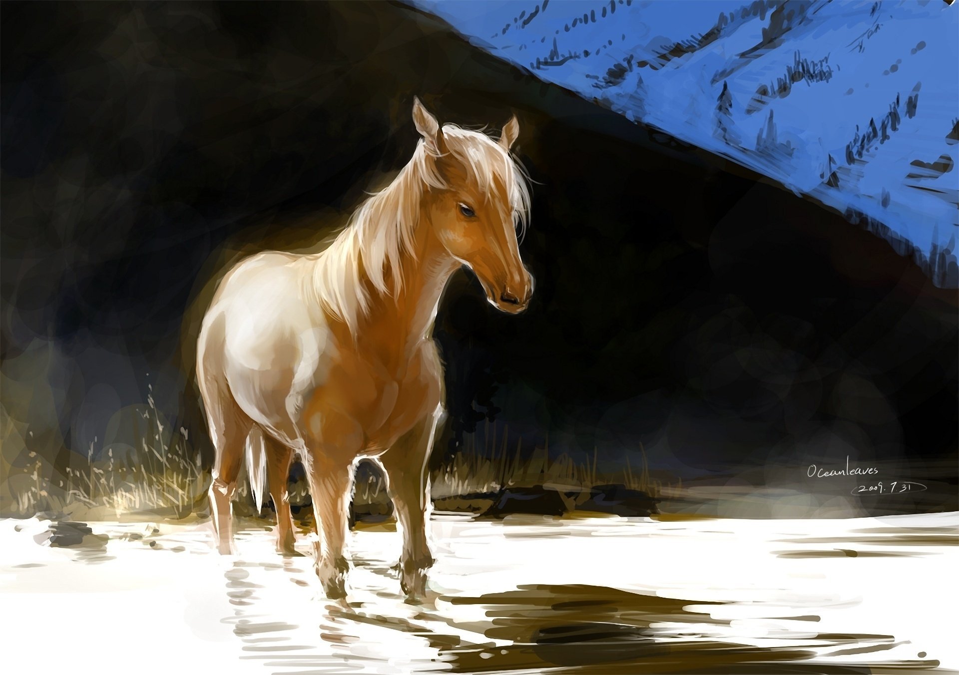 pelirroja océano agua arte caballo caballo pixiv luz colina