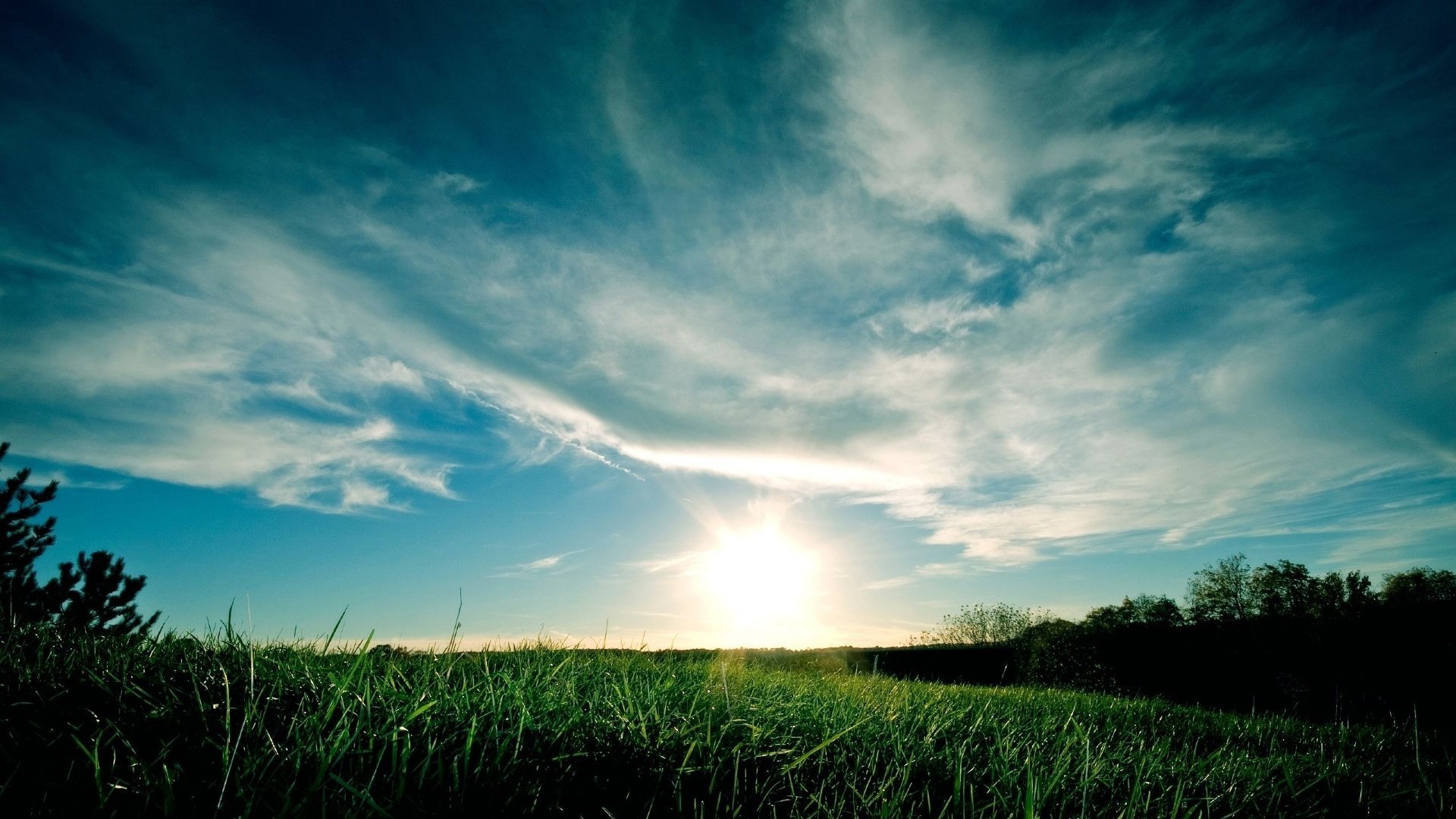 natur landschaft gras feld lichtung