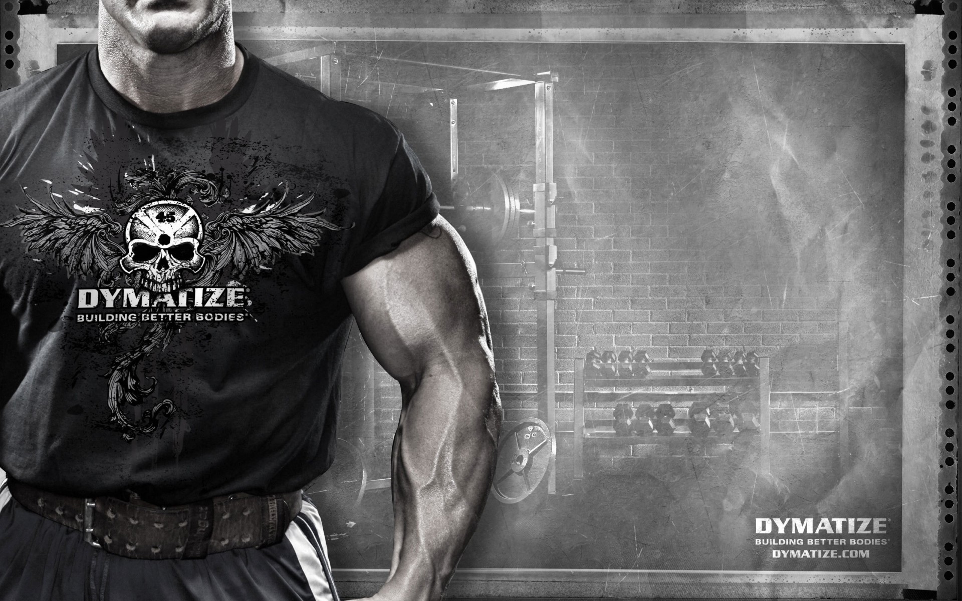 muscles sportfit dymatize sport