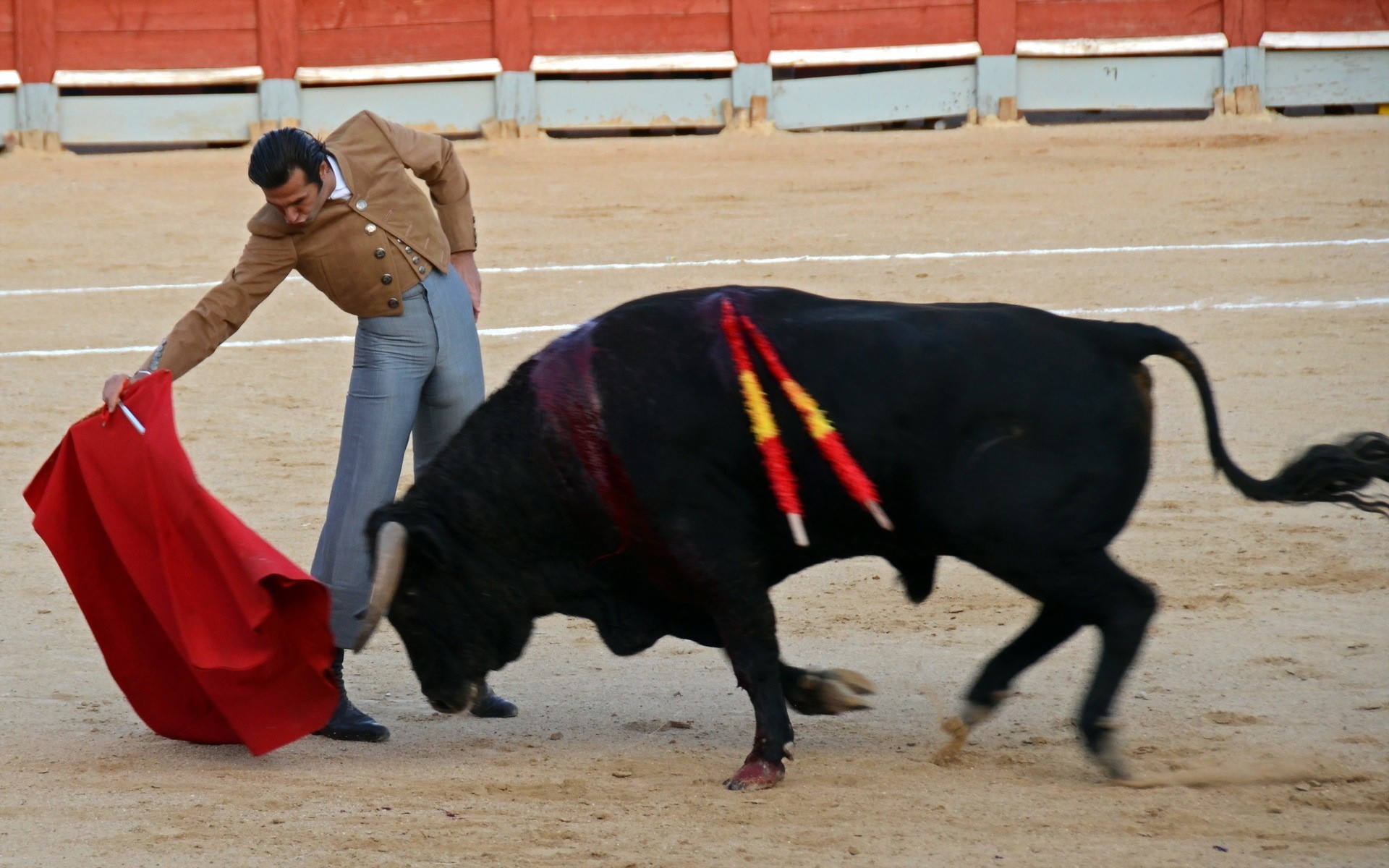 festival toros fiesta stier spanien