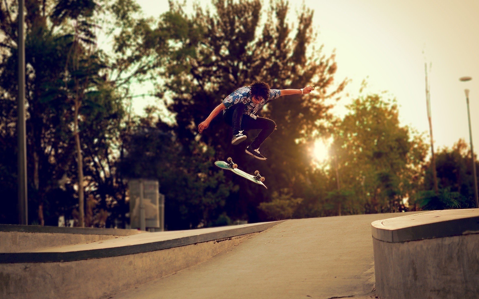 garçon planche à roulettes skate rue arbres