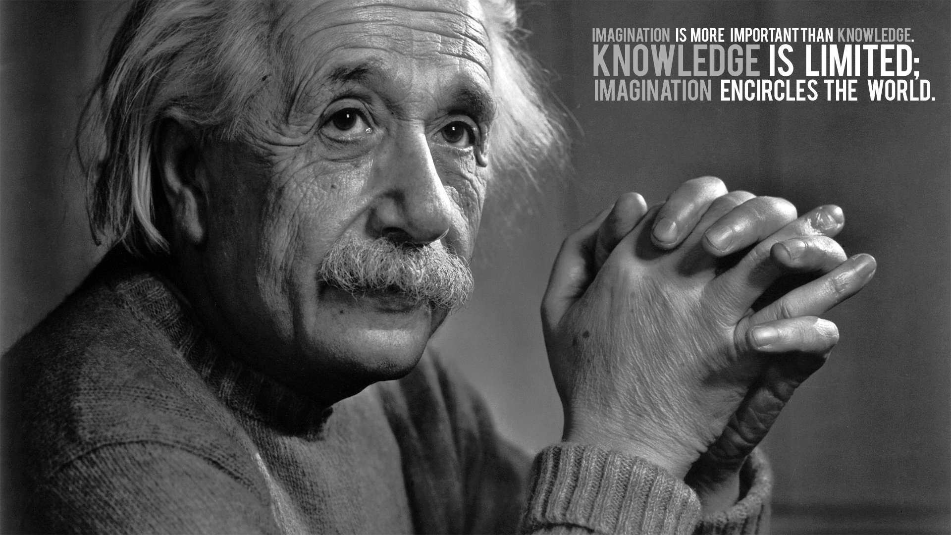 einstein quote the idea