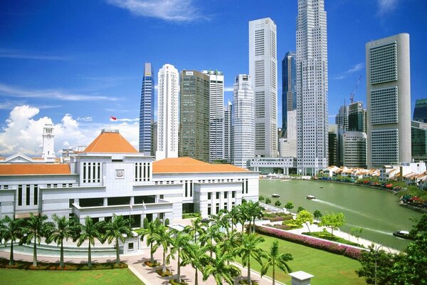 Vista dei grattacieli di Singapore attraverso le palme