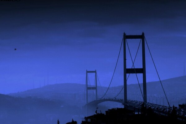 Golden Gate en bleu. Pont dans le brouillard bleu