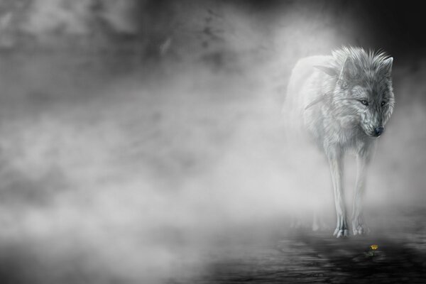 Ein Wolf, der sich im Nebel versteckte und auf Beute wartete