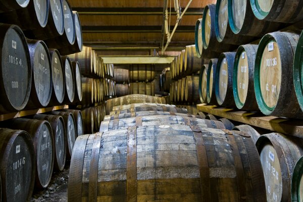 Botti di vino in cantina sugli scaffali