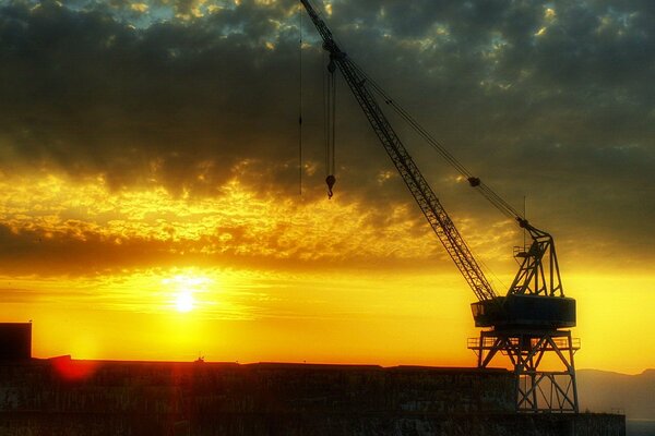 Grue au coucher du soleil dans les nuages