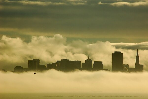 Edificios en niebla espesa