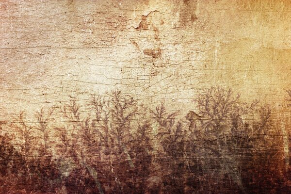 Grassy pattern on wooden surface