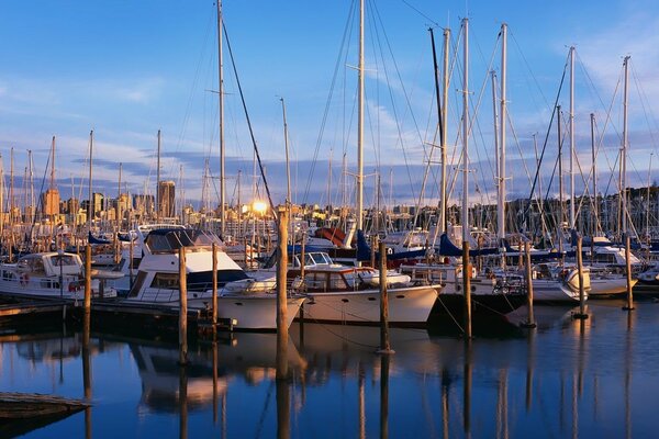 There are a lot of sea boats on the pier