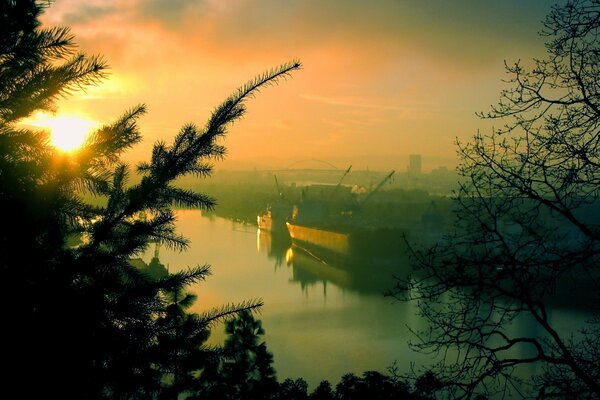 At dawn, a magnificent view of the port opens through the trees