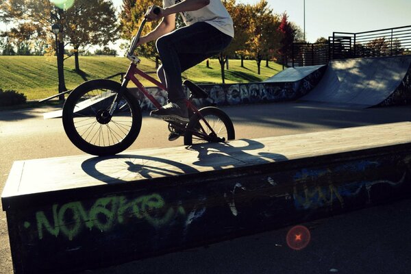 A cyclist performs various tricks