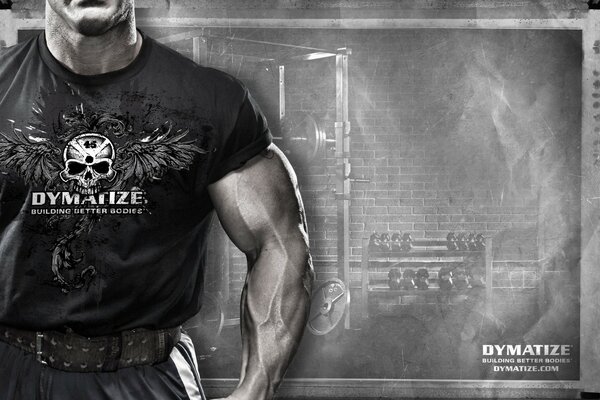 Gros muscles . Sport. Sportpit-dymatize