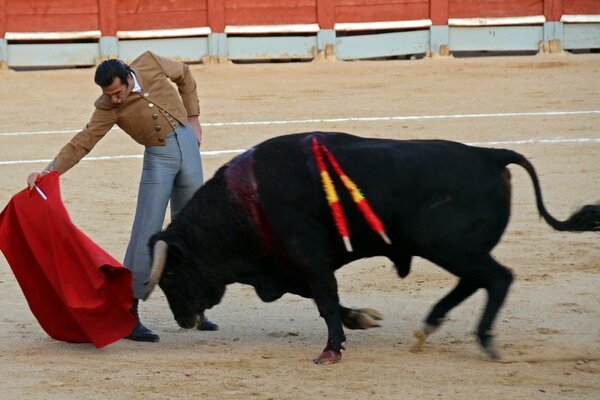 Spanien Festival fiesta Matador und Stier