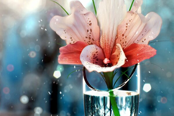 A beautiful flower in a decorative glass