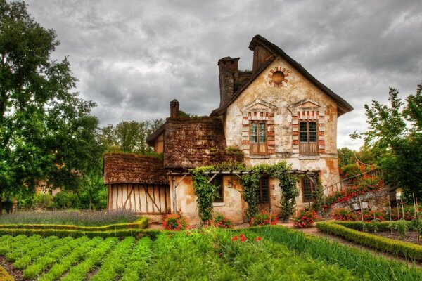 Cute house in a green garden