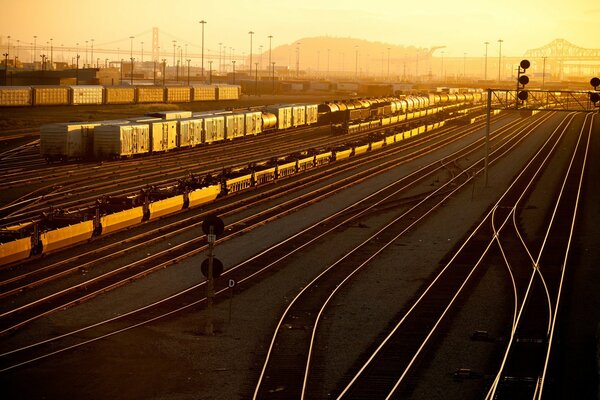 Chemin de fer en Californie. Matin