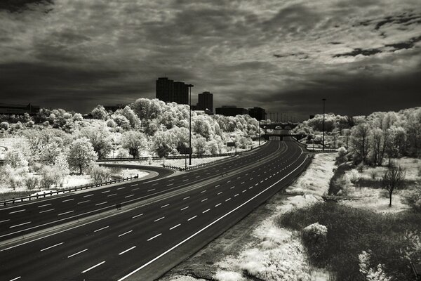 An unusual black-and-white photo of a road against the background of a park and high-rise buildings