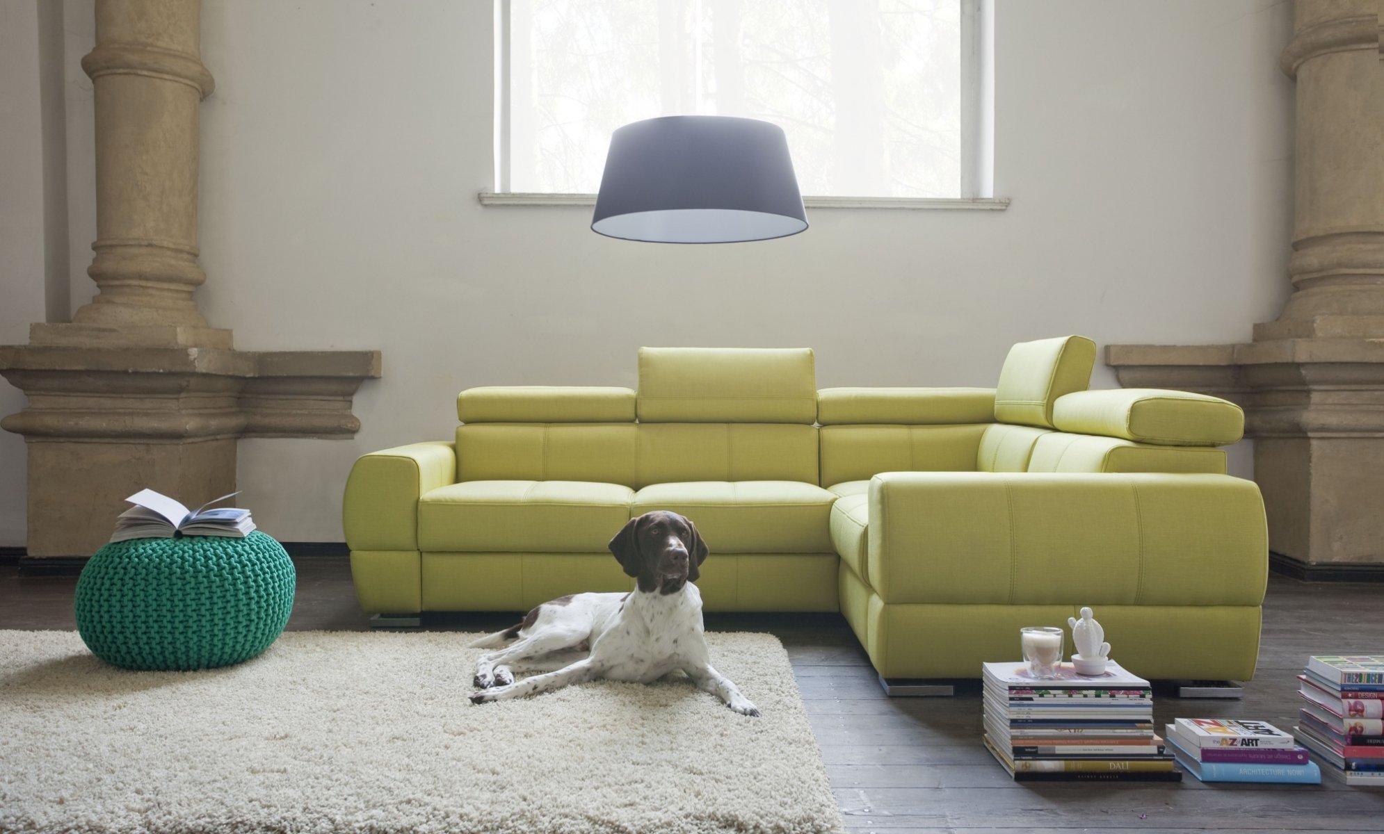 innenraum stil design zimmer wohnzimmer hund