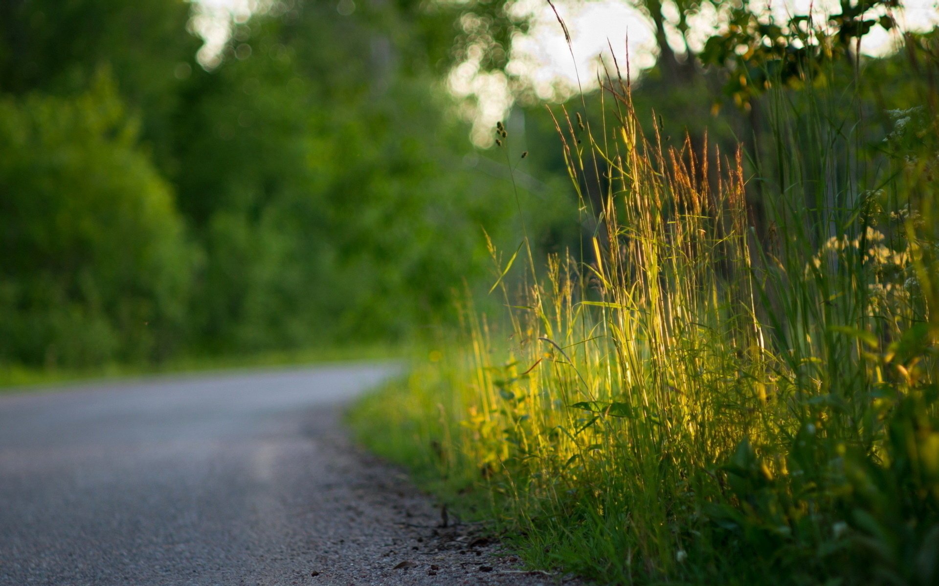 strada macro erba