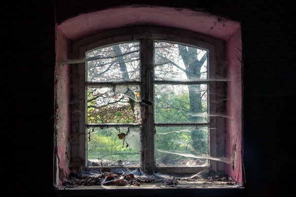 A broken window in a room with cobwebs