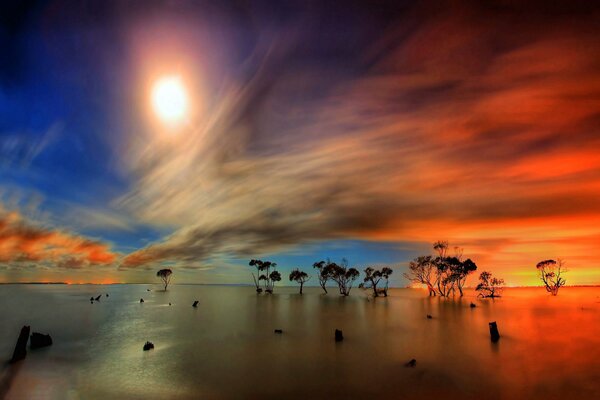 Paisaje con niños en la distancia y un hermoso cielo rosa